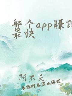 哪个app赚钱最快