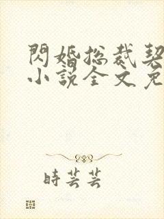 闪婚总裁契约妻小说全文免费