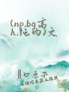(np,bg高h,纯肉)文