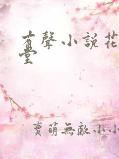 有声小说花醉满堂