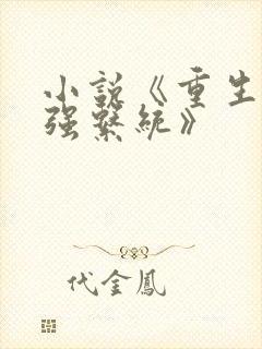 小说《重生之最强系统》