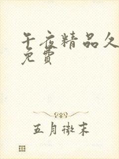 午夜精品久久久免费