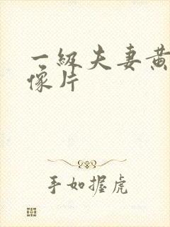 一级夫妻黄色录像片