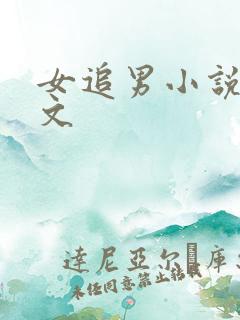 女追男小说甜宠文