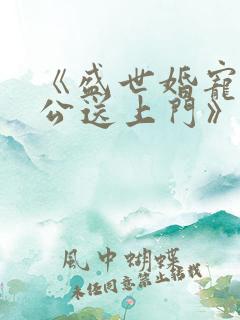 《盛世婚宠:老公送上门》小说
