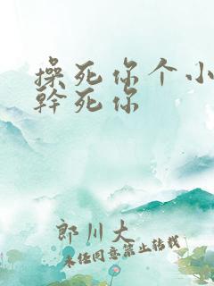 操死你个小骚货干死你