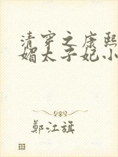 清穿之康熙的娇媚太子妃小说