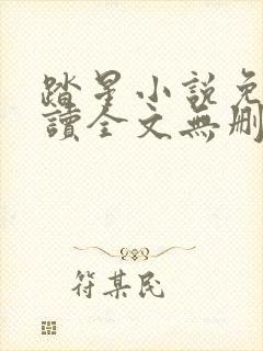 踏星小说免费阅读全文无删减