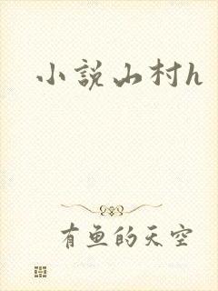 小说山村h