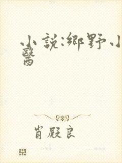 小说:乡野小村医