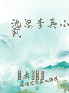 沈思李兵小说下载