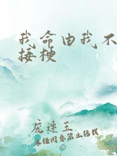 我命由我不由天接梗