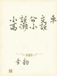 小说公交车被上高潮小说