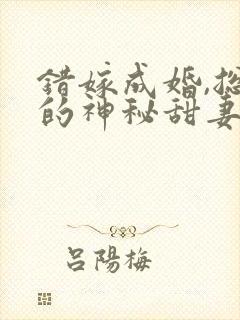 错嫁成婚,总裁的神秘甜妻