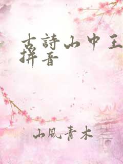 古诗山中王维带拼音