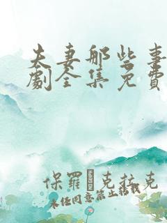 夫妻那些事电视剧全集免费看