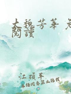 大魏芳华 免费阅读