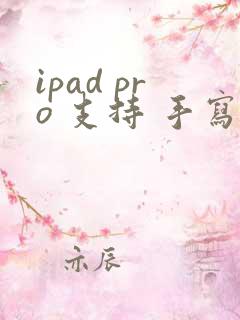 ipad pro 支持 手写笔