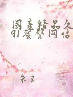 国产精品久久久91蜜臀网站