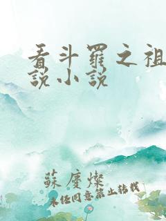 看斗罗之祖龙传说小说