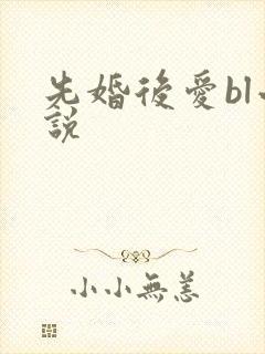先婚后爱bl小说