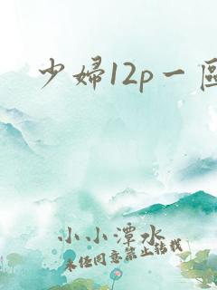 少妇12p一区