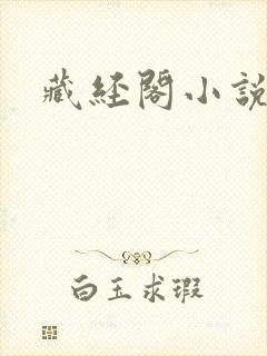 藏经阁小说网