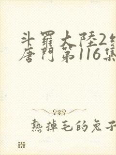 斗罗大陆2绝世唐门第116集