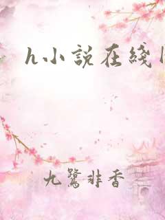 h小说在线网址