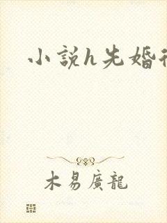 小说h先婚后爱