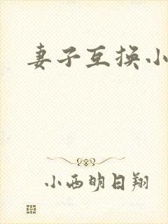 妻子互换小说