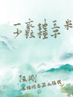 一亩地玉米用多少粒种子