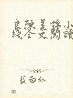 良陈美锦小说在线全文阅读