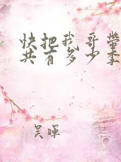 快把我哥带走一共有多少季