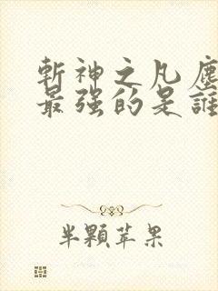 斩神之凡尘神域最强的是谁