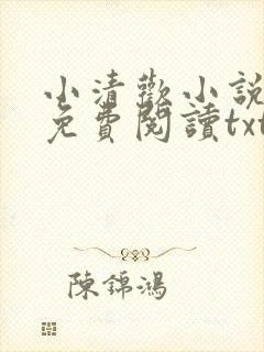小清欢小说全文免费阅读txt下载