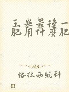 玉米最后一次施肥用什么肥好