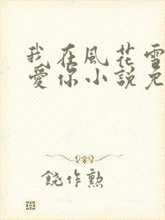 我在风花雪月里爱你小说免费阅读