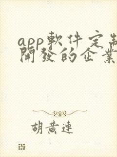 app软件定制开发的企业