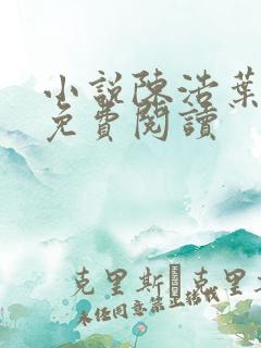 小说陈浩叶心仪免费阅读