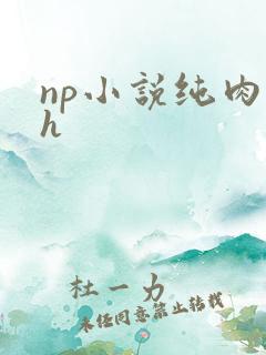 np小说纯肉高h