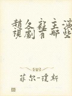 赵久毅主演的电视剧有哪些