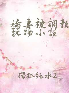 娇妻被调教沦为玩物小说