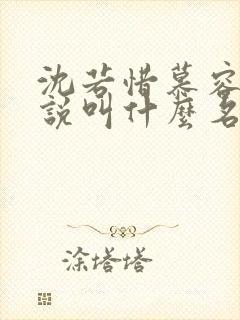 沈若惜慕容珩小说叫什么名字