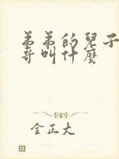 弟弟的儿子叫哥哥叫什么