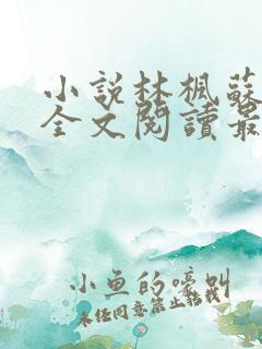 小说林枫苏慕白全文阅读最新章节