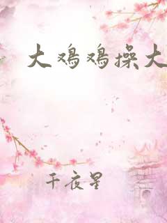 大鸡鸡操大逼逼