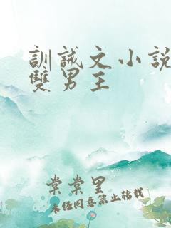训诫文小说推荐双男主