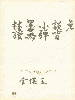 林墨小说免费阅读无弹窗
