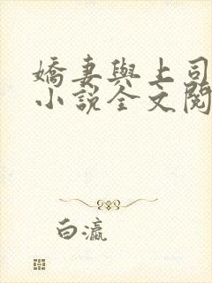 娇妻与上司韩燕小说全文阅读